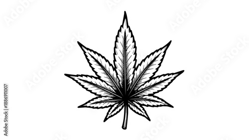 High-contrast monochromatic illustration of a single cannabis leaf with bold linework