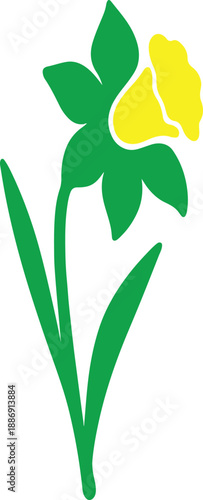 Detailed vector illustration of a single daffodil flower