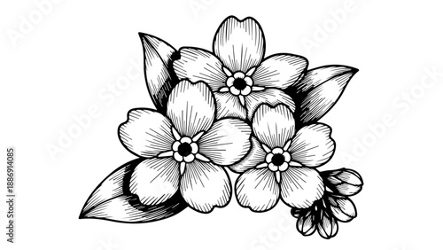 Black and white floral arrangement illustration with intricate shading and hatching