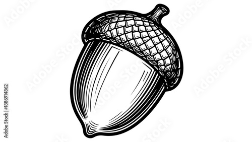 High-detail black-and-white illustration of a single acorn with intricate textures