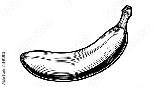 High-contrast monochromatic illustration of a single banana with detailed texture and smooth peel