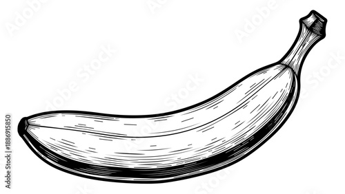 High-contrast black-and-white illustration of a single banana with detailed texture and shading