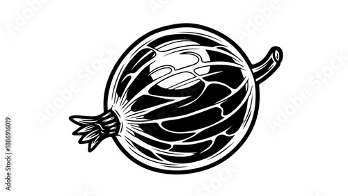 High-contrast black and white illustration of an onion with intricate papery layers