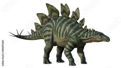 Isolated Stegosaurus, prehistoric dinosaur, extinct reptile with dorsal plates and tail spikes