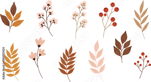 Autumn botanical branch and berry set with warm fall leaves and floral elements in minimal modern style for seasonal vector designs