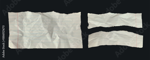 Set of torn and crumpled lined paper pieces