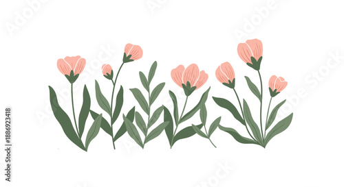 Simple and elegant illustration of a cluster of delicate pink flowers with dark green stems and leaves on a white background.