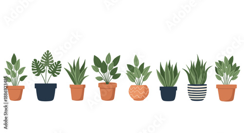 A collection of eight different illustrated indoor houseplants in a variety of modern pots, arranged in a neat row.