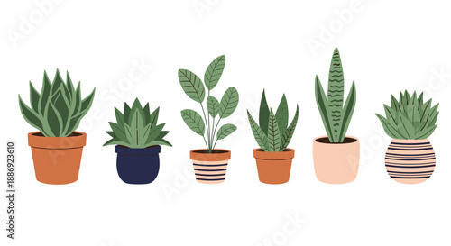 A collection of six stylized indoor houseplants, including snake plants and succulents, in modern decorative pots.