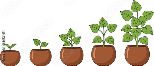 A young green sprout grows from soil in a small potted flowerpot isolated on a white background, symbolizing new life and gardening growth for a fresh houseplant seedling in spring