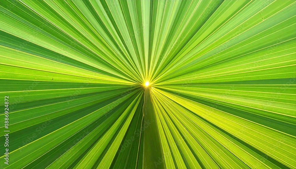 Fototapeta premium Close-up of vibrant green leaf veins radiating from a central light source