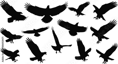 Black and white eagle silhouette set showing flying, landing, and attacking poses for wildlife illustration, predator symbolism, and nature design