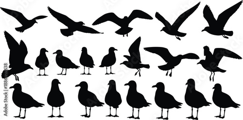 Black and white seagull silhouette set showing flying and standing poses for coastal wildlife illustration, marine nature design, and decorative graphics