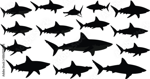 Black and white shark silhouette set featuring multiple swimming poses for ocean wildlife, marine biology, and underwater design projects