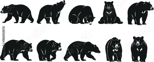 Black bear silhouette set showing walking, standing, sitting, and foraging poses for wildlife illustration, nature design, and animal graphics