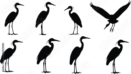 Heron bird silhouette collection featuring standing and flying poses, elegant black wading bird wildlife illustration set isolated