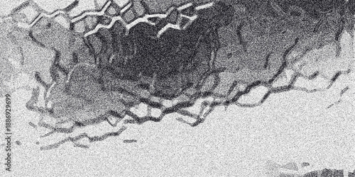 Abstract grayscale background with a textured, fractured surface and a granular overlay, creating a visually complex and artistic pattern with a sense of depth and detail for design projects