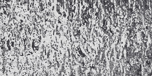Detailed monochrome abstract texture with intricate organic patterns and a subtle grainy effect, ideal for artistic backgrounds and surface design