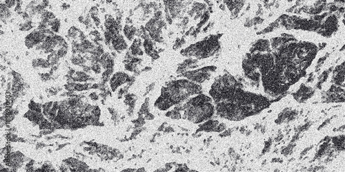 Dense abstract grayscale texture featuring interconnected, irregular dark shapes with a speckled white granular background, suggesting a natural, organic, or biological pattern for backgrounds and