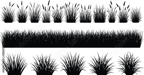 Black and white grass and reed silhouette set featuring meadow borders, wild plants, and natural vegetation for landscape design backgrounds
