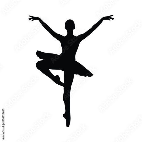 Silhouette of a Ballerina in a Tutu ballet dancer