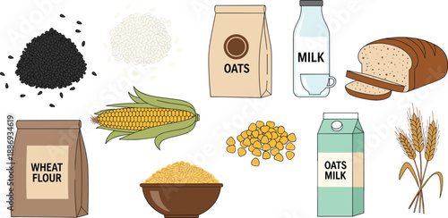Grain and cereal food illustration set with oats, wheat, rice, corn, milk, bread, and flour ingredients in flat vector style for nutrition concepts