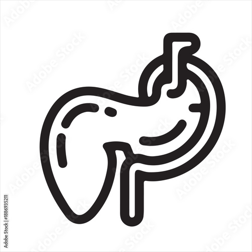 illustration liver related organs