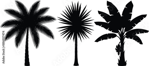 Tropical tree silhouettes, palm tree artwork, banana plant illustration, fan palm design, exotic foliage concept, botanical landscape symbol