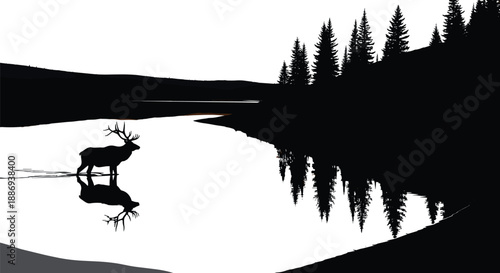 Silhouette of a majestic elk bull standing in a calm mountain lake with pine forest reflection at sunset, wilderness nature vector illustration background