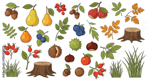 Large collection of hand-drawn autumn forest elements, including fruits, nuts, berries, leaves, and tree stumps for seasonal design.
