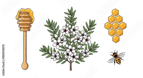 Manuka honey elements set, including the manuka flower branch, a honey dipper, a honeycomb, and a bee in a vintage style.