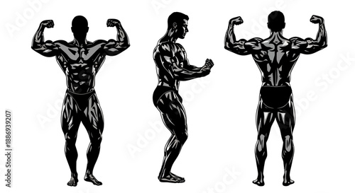 Muscular male bodybuilder showcasing physique from multiple angles in detailed illustration