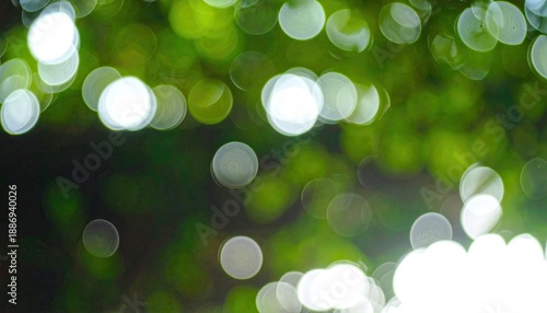 Soft, glowing orbs of light diffuse through lush green foliage