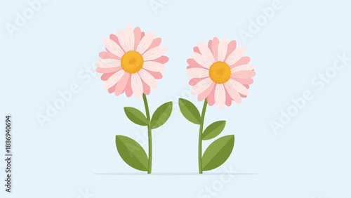 Two pink and yellow daisies with green stems and leaves against a light blue background