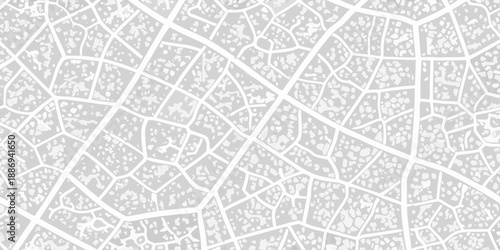 Abstract gray and white cracked pattern resembling a road map or veins