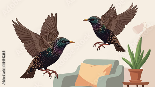 Two starlings in flight near a chair and potted plant