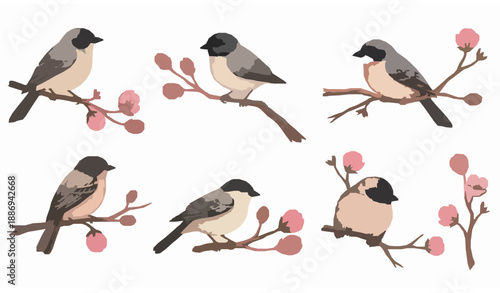 Watercolor Spring Birds on Flowering Branches Vector Set for Seasonal Design