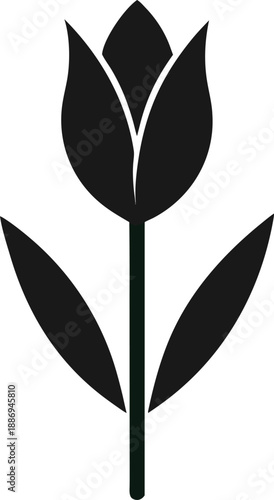 modern tulip flat illustration silhouette   vector  icon  on white background 