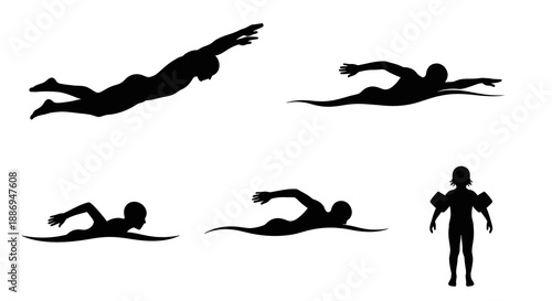 Silhouettes of people swimming and diving in various poses, with one standing, against a white or transparent background Whisk_cf177beae1a12ee87c742c72dcb5a3fadr.eps