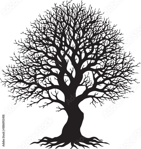 Black Silhouette of a Leafless Winter Tree with Bare Branches and Roots