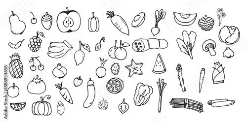 A collection of various fruits and vegetables illustrations