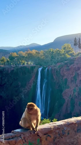 Ouzoud Waterfalls in Morocco captivate visitors with their stunning beauty, as they cascade down rocky cliffs surrounded by lush greenery