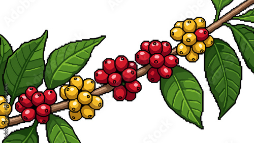 Pixel art illustration of ripe red and unripe yellow coffee cherries on a branch with green leaves