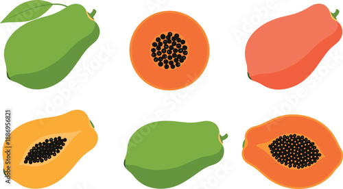 Vector illustration set featuring whole and halved tropical papaya fruits in green yellow orange and red color varieties