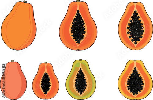 Vector illustration set featuring whole and halved ripe papaya fruits with vibrant orange flesh and detailed black seeds