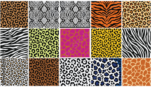 Seamless wild animal skin pattern vector set featuring leopard spots, tiger stripes, zebra lines, snake scales, and giraffe fur textures collection.