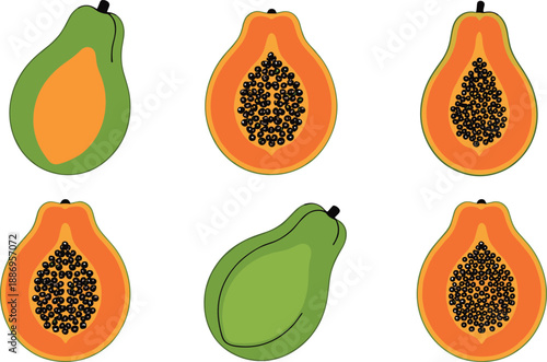 Vector illustration set featuring whole green papayas and halved ripe papaya fruits with orange flesh and black seeds