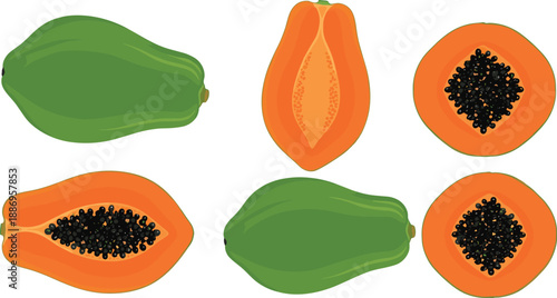 Vector illustration set featuring whole green papayas and sliced ripe fruits with orange flesh and black seeds