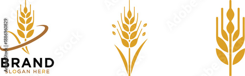 Modern wheat logo set with abstract grain symbols organic agriculture farming brand identity vector illustration design