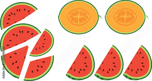 Vector illustration set of fresh fruit featuring watermelon circular cross sections red triangular slices and halved orange cantaloupe varieties
